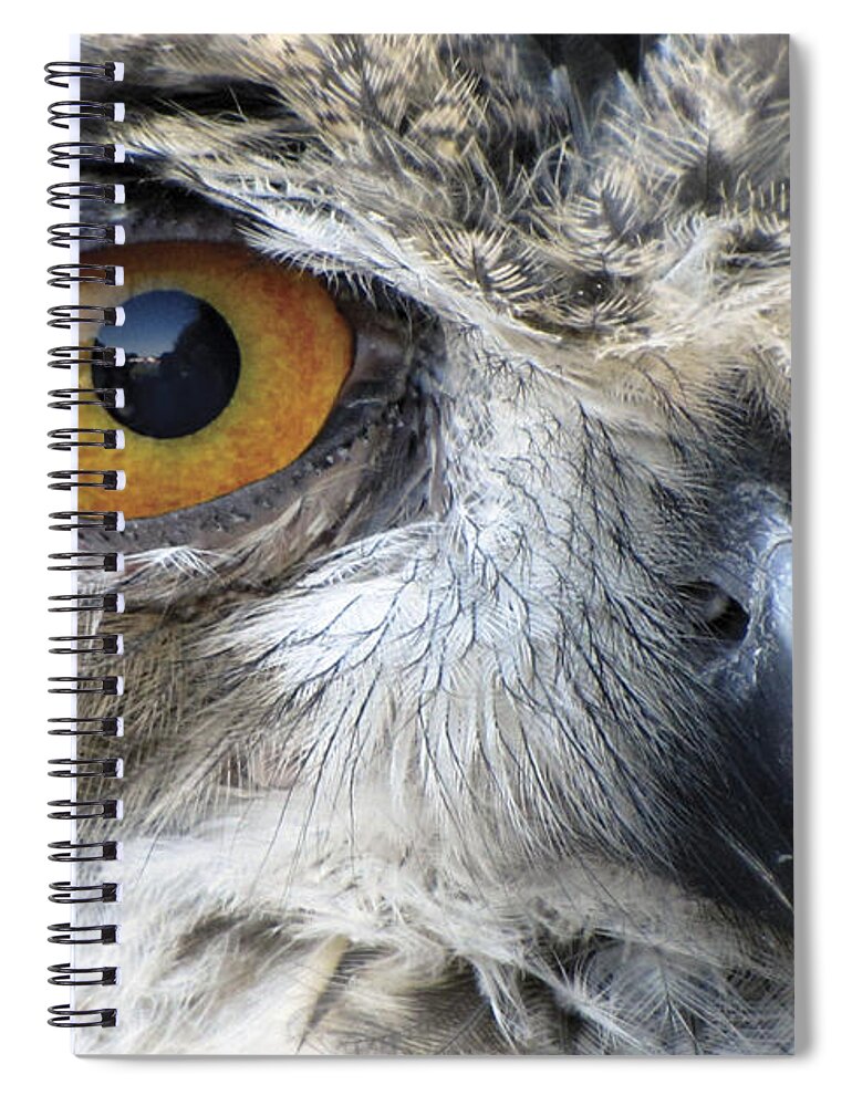 Owl Spiral Notebook featuring the photograph Who by Bob Slitzan