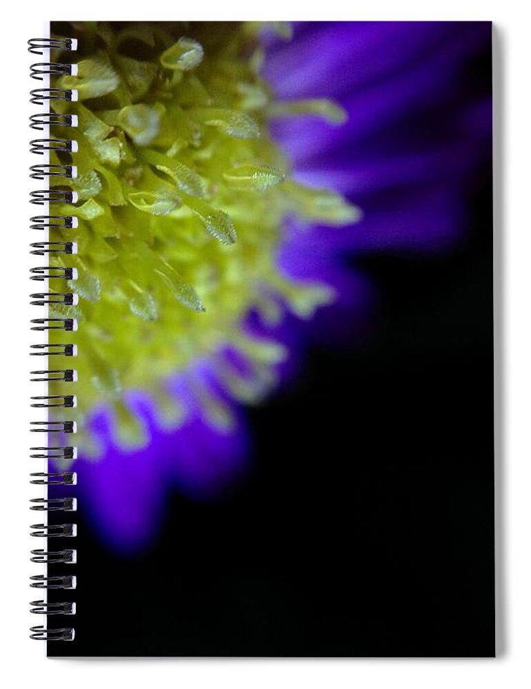 Purple Aster Spiral Notebook featuring the photograph Wicked Lovely by Susan Maxwell Schmidt