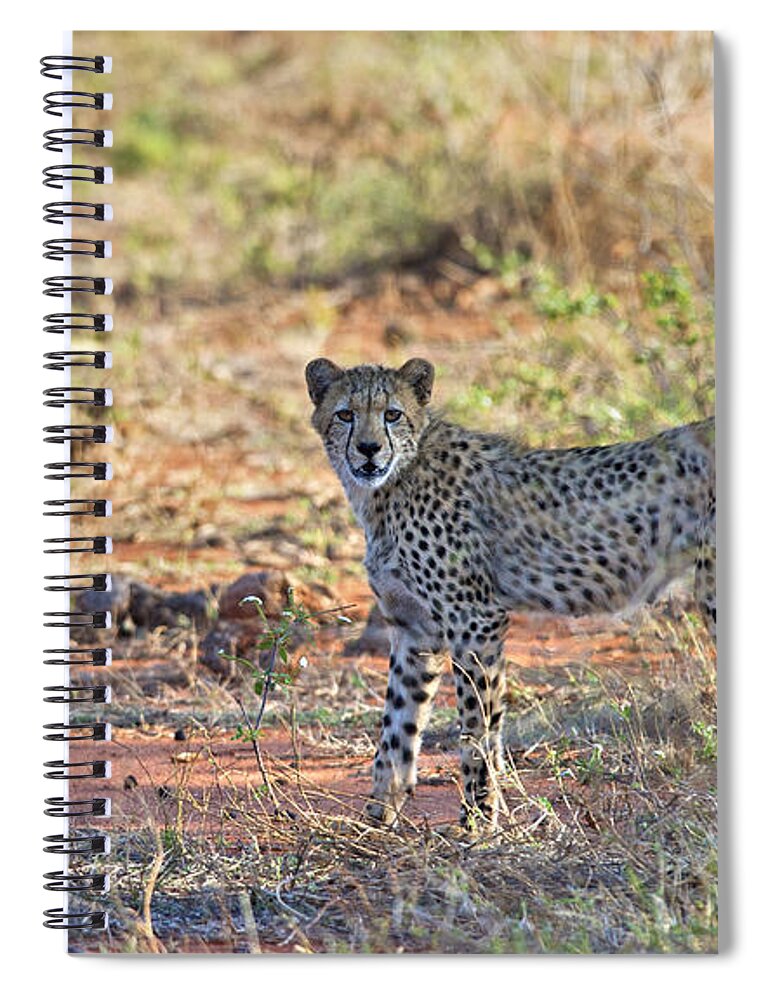 Festblues Spiral Notebook featuring the photograph Wild Beauty... by Nina Stavlund