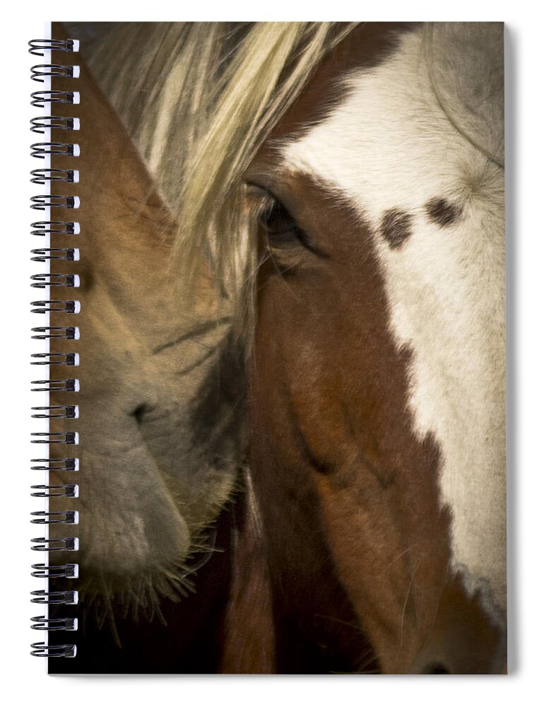Andalusia Spiral Notebook featuring the photograph Wild Mustangs of New Mexico 32 by Catherine Sobredo