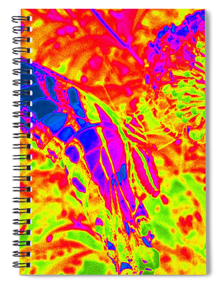 Monarch Butterfly Spiral Notebook featuring the photograph Wild n Crazy Butterfly by Kim Galluzzo