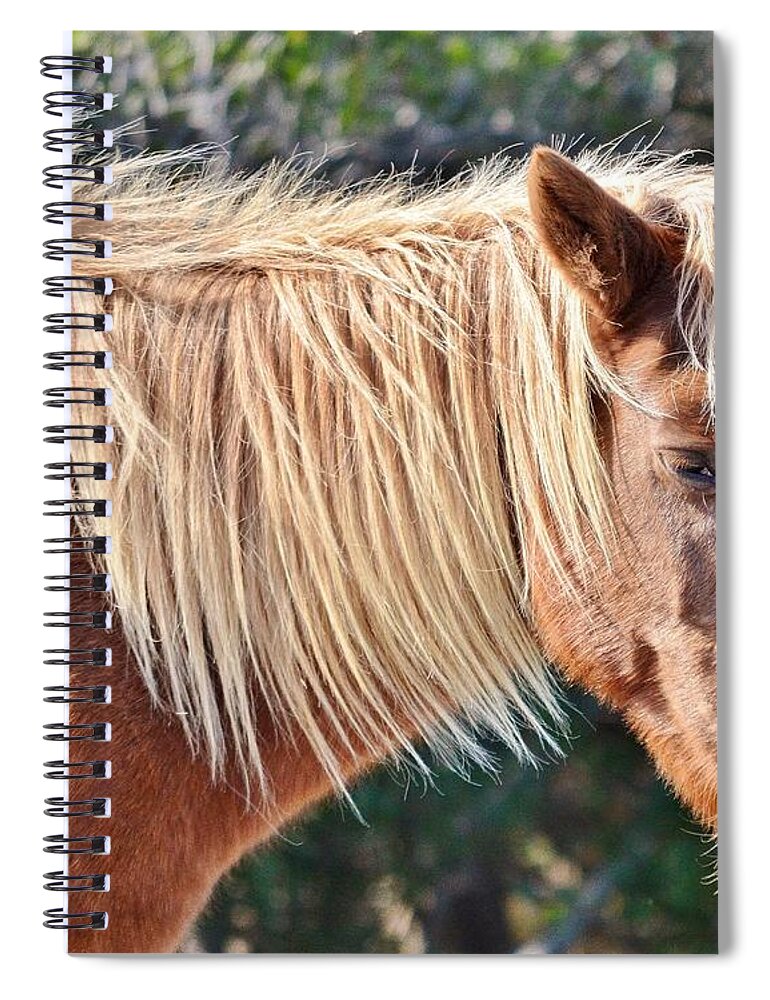 Horse Spiral Notebook featuring the photograph Wild Ponies of Assteague 20 by Kim Bemis