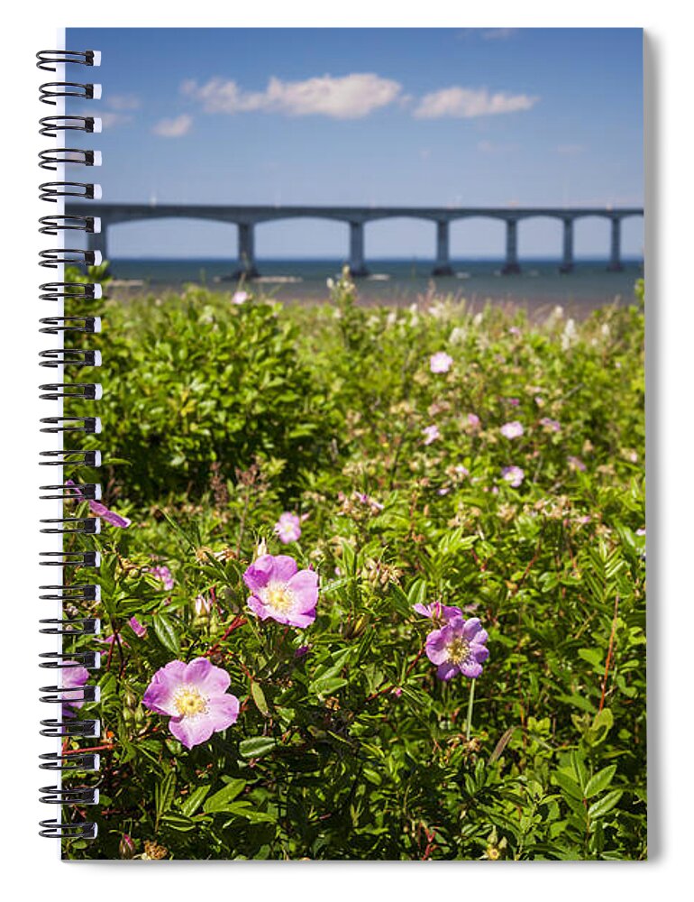Wild Spiral Notebook featuring the photograph Wild roses at Confederation Bridge by Elena Elisseeva