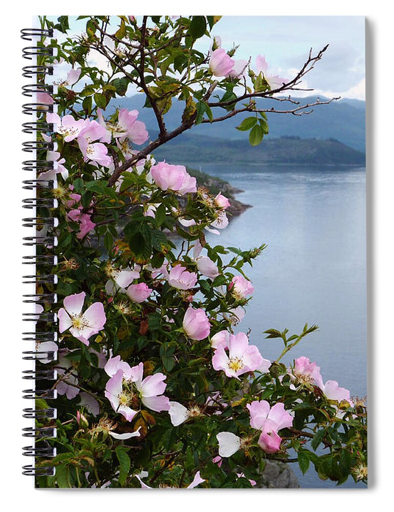 Roses Spiral Notebook featuring the photograph Wild Roses - West Highlands by Phil Banks
