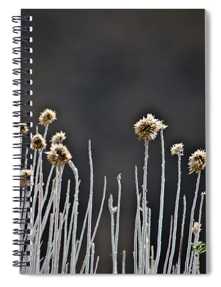 Wildflower Spiral Notebook featuring the photograph Wild Things 1 by Joel Loftus