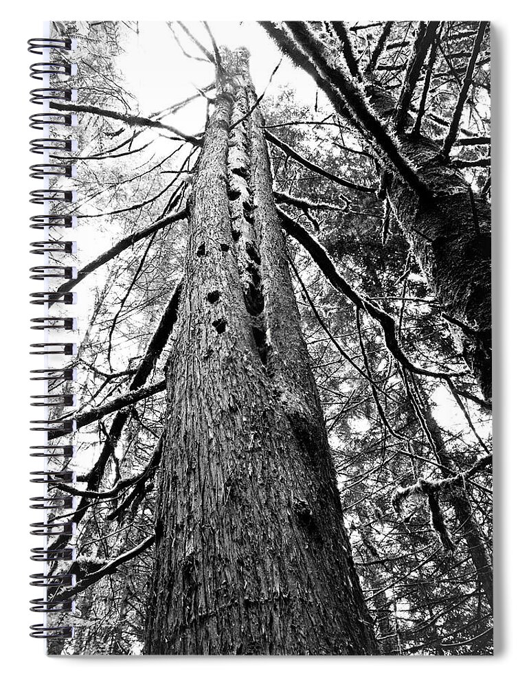 Snag Spiral Notebook featuring the photograph Wild Things Hotel by Adria Trail