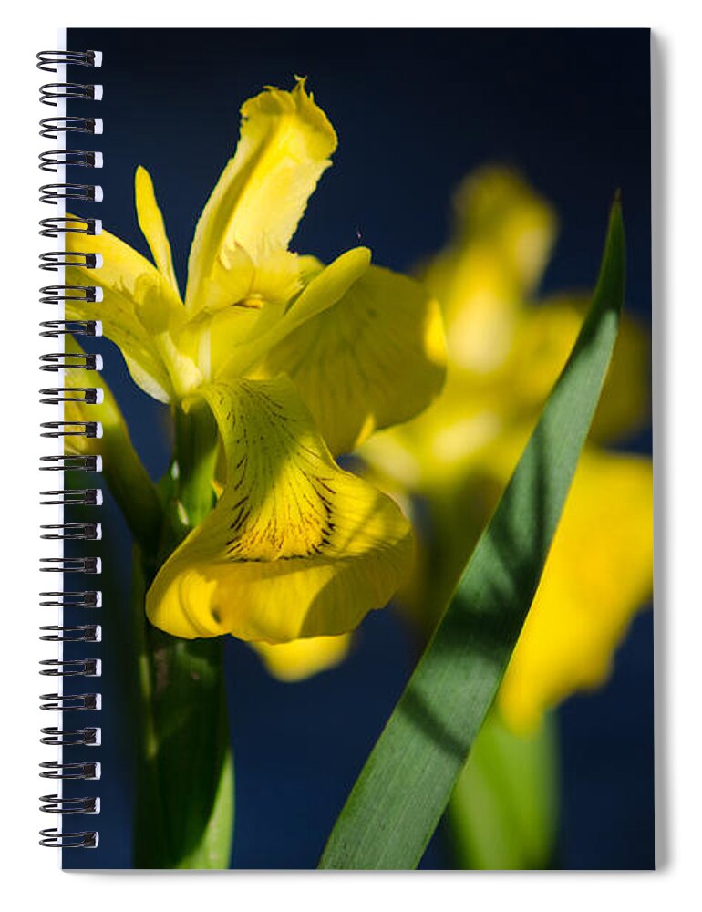 Dakota Spiral Notebook featuring the photograph Wild Water Iris by Greni Graph