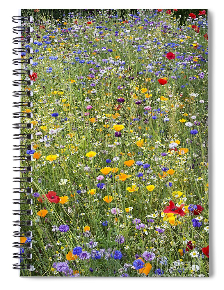 Wildflowers Spiral Notebook featuring the photograph Wildflower Mix by Tim Gainey
