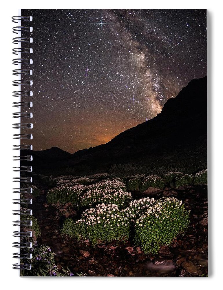 Tranquility Spiral Notebook featuring the photograph Wildflower Runoff Under The Stars by Mike Berenson / Colorado Captures