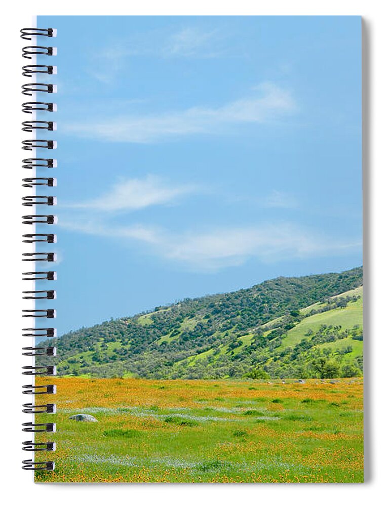 Tejon Ranch Spiral Notebook featuring the photograph Afternoon Delight - Wildflowers and Cirrus Clouds by Ram Vasudev