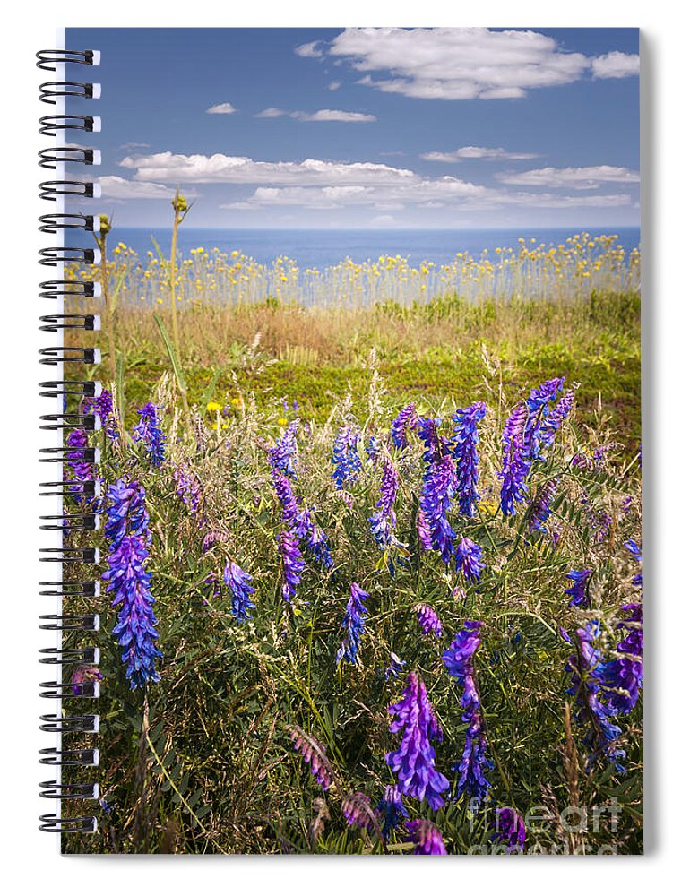 Wildflowers Spiral Notebook featuring the photograph Wildflowers on ocean coast by Elena Elisseeva