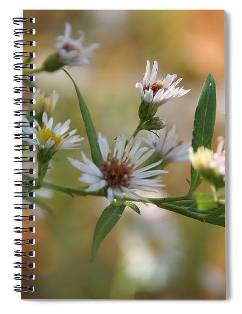 Wild Flower Spiral Notebook featuring the photograph Wildflowers by Valerie Collins