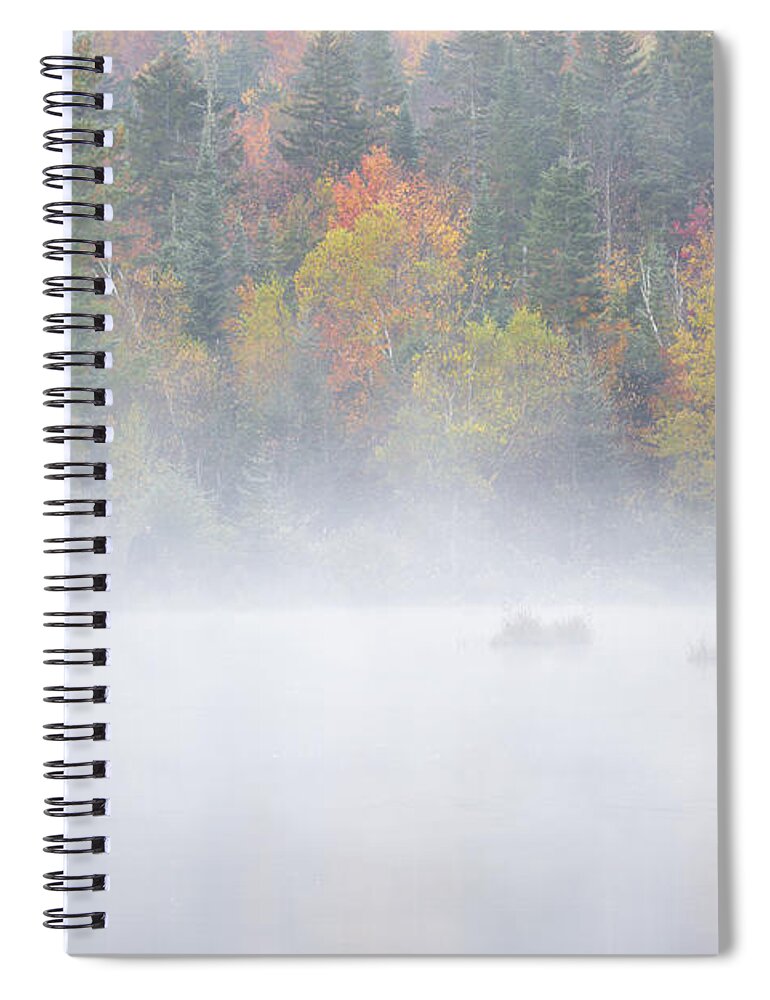 America Spiral Notebook featuring the photograph Wildlife Pond - Bethlehem New Hampshire USA by Erin Paul Donovan