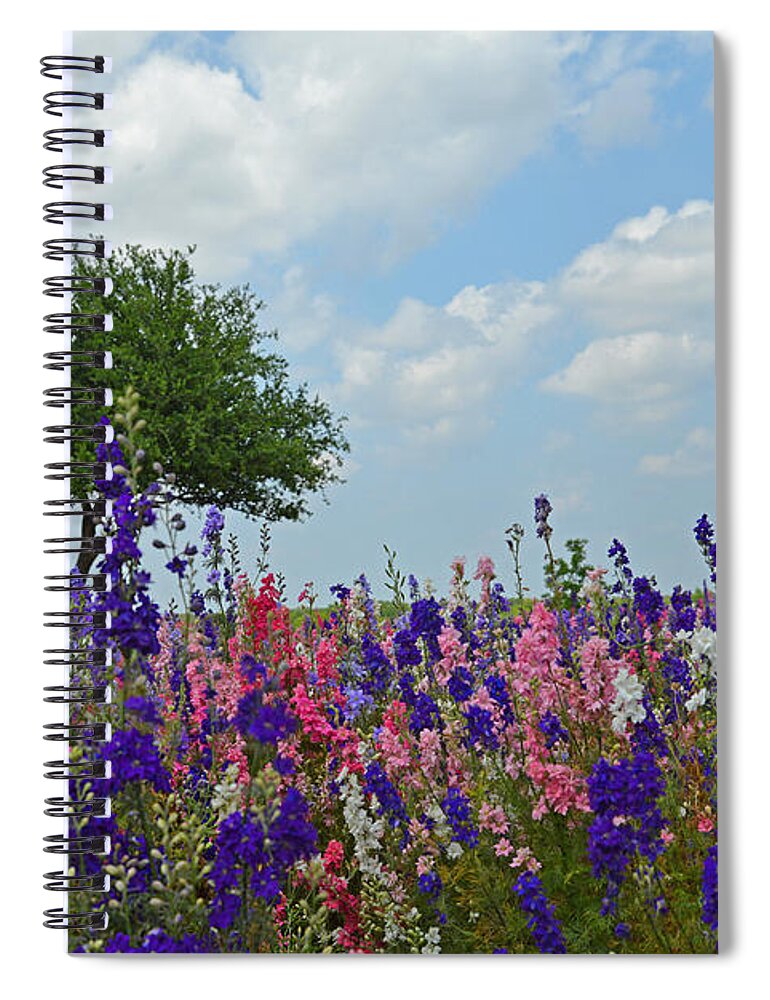 Texas Spiral Notebook featuring the photograph Wildseed Farms Wildflowers by Lynn Bauer