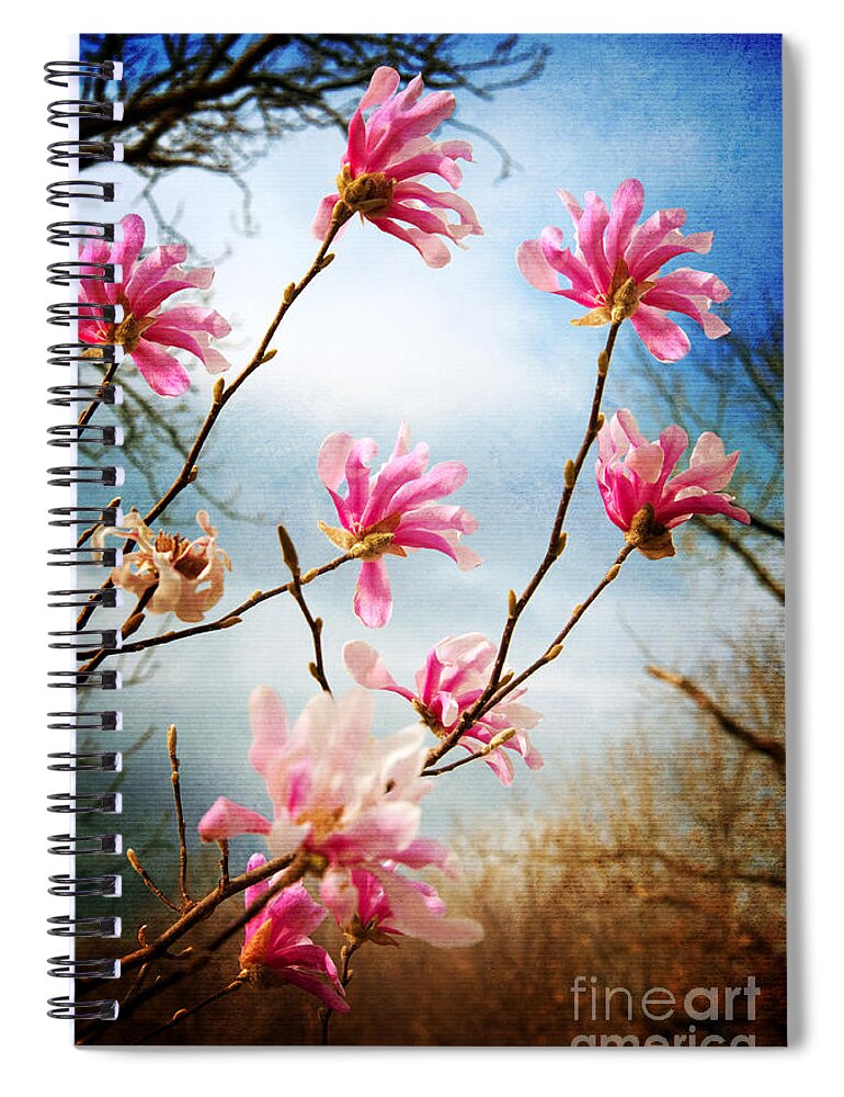 Magnolia Spiral Notebook featuring the photograph Wind In The Magnolia Tree by Andee Design