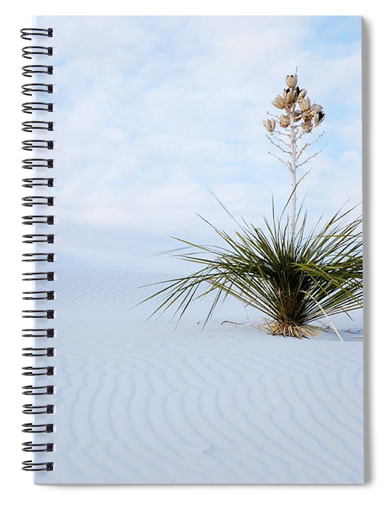 Yucca Spiral Notebook featuring the photograph Windblown Yucca by Vivian Christopher