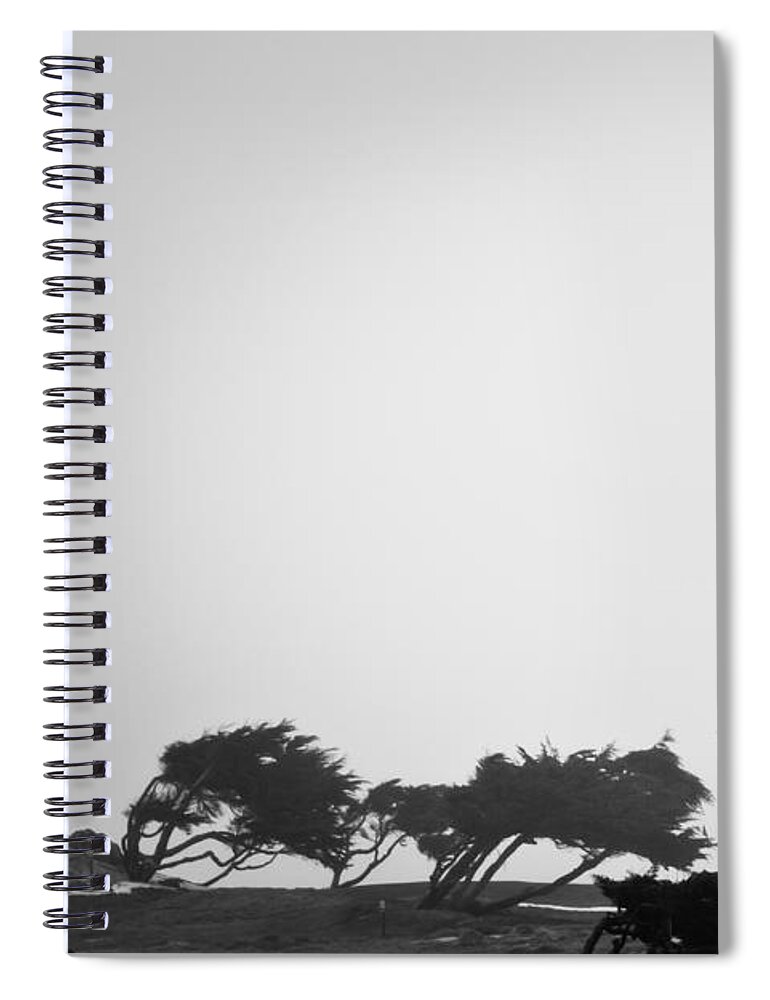 2012 Spiral Notebook featuring the photograph Windswept Shoreline by Melinda Ledsome