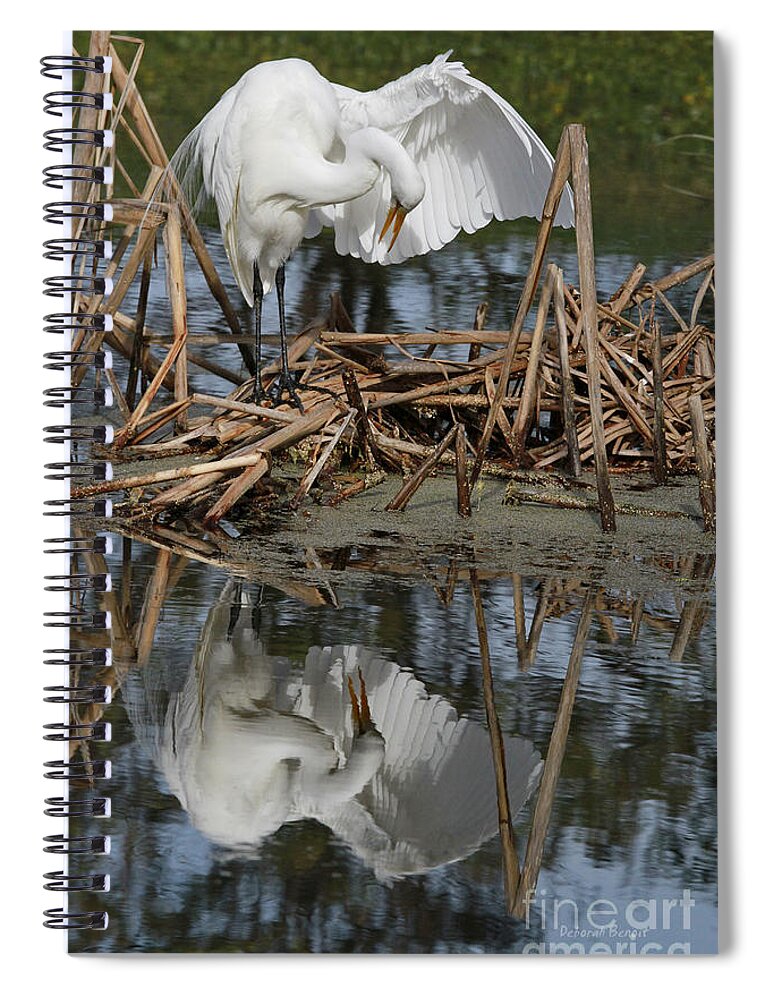Egret Spiral Notebook featuring the photograph Wing Up Reflection by Deborah Benoit
