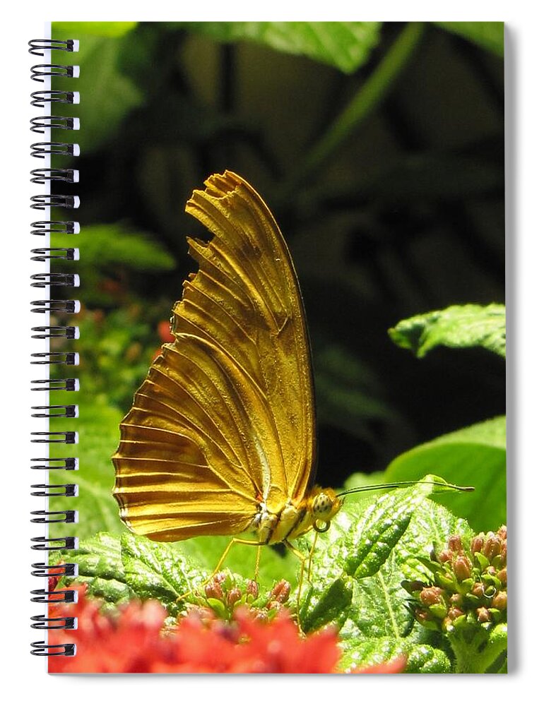 Wings Spiral Notebook featuring the photograph Wings of Gold by Jennifer Wheatley Wolf