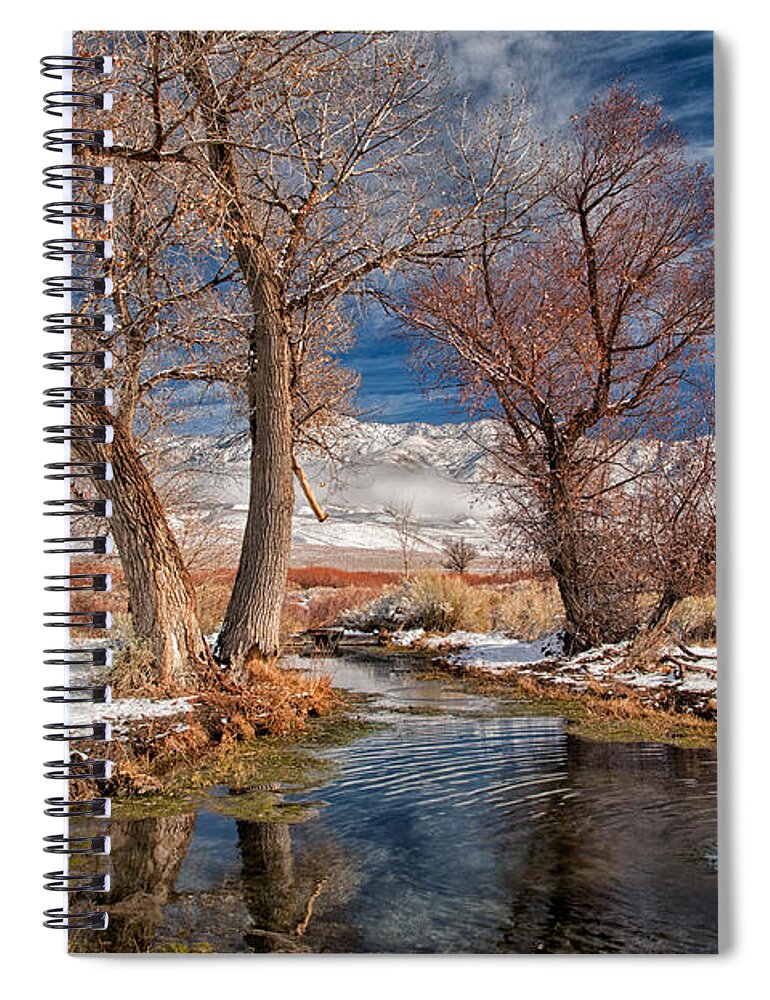 River Spiral Notebook featuring the photograph Winter at the Artesian by Cat Connor