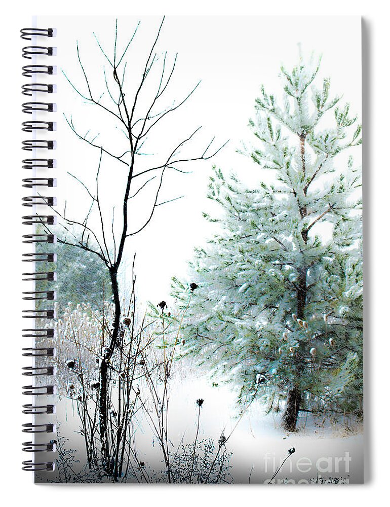 Winter Spiral Notebook featuring the photograph Winter Beauty by Michael Arend