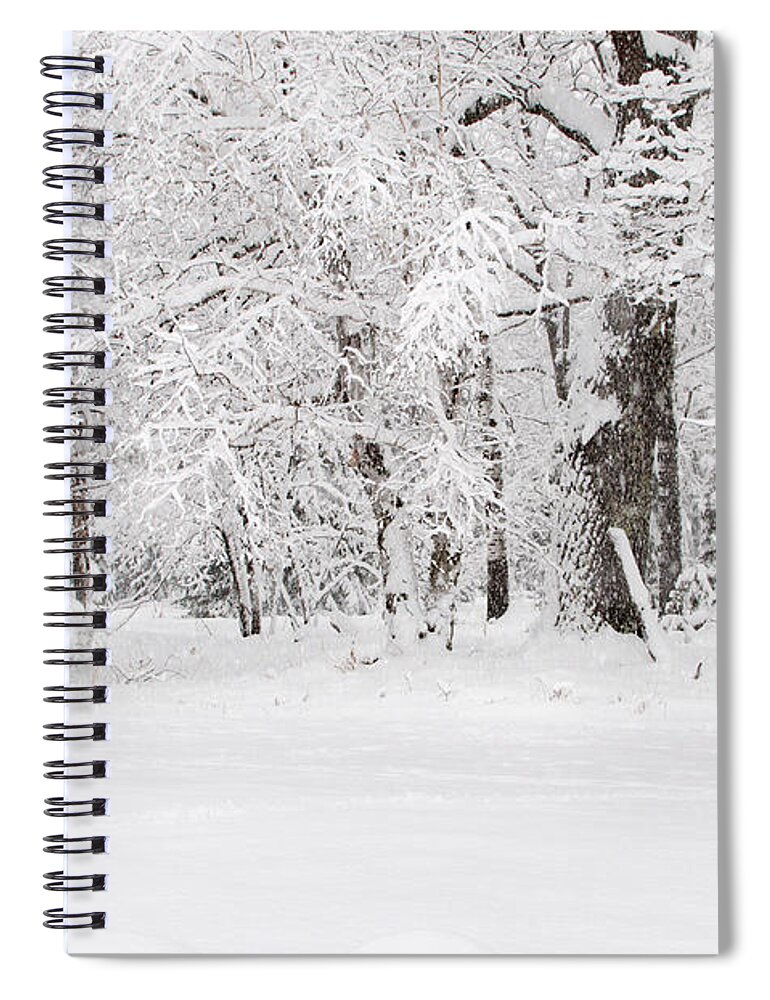 Winter Wonderland Spiral Notebook featuring the photograph Winter Canvas by Gwen Gibson