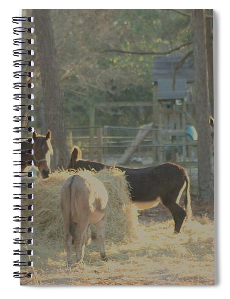 Horses Spiral Notebook featuring the photograph Winter Dinner by Michelle Powell
