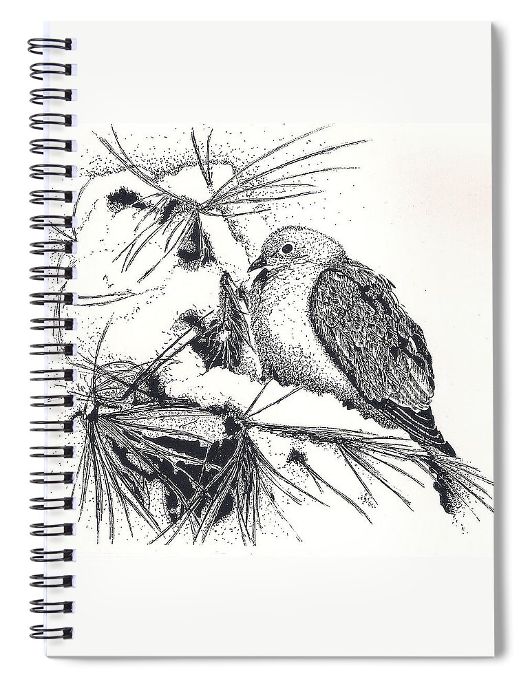 Nature Spiral Notebook featuring the drawing Winter Dove by Petra Stephens