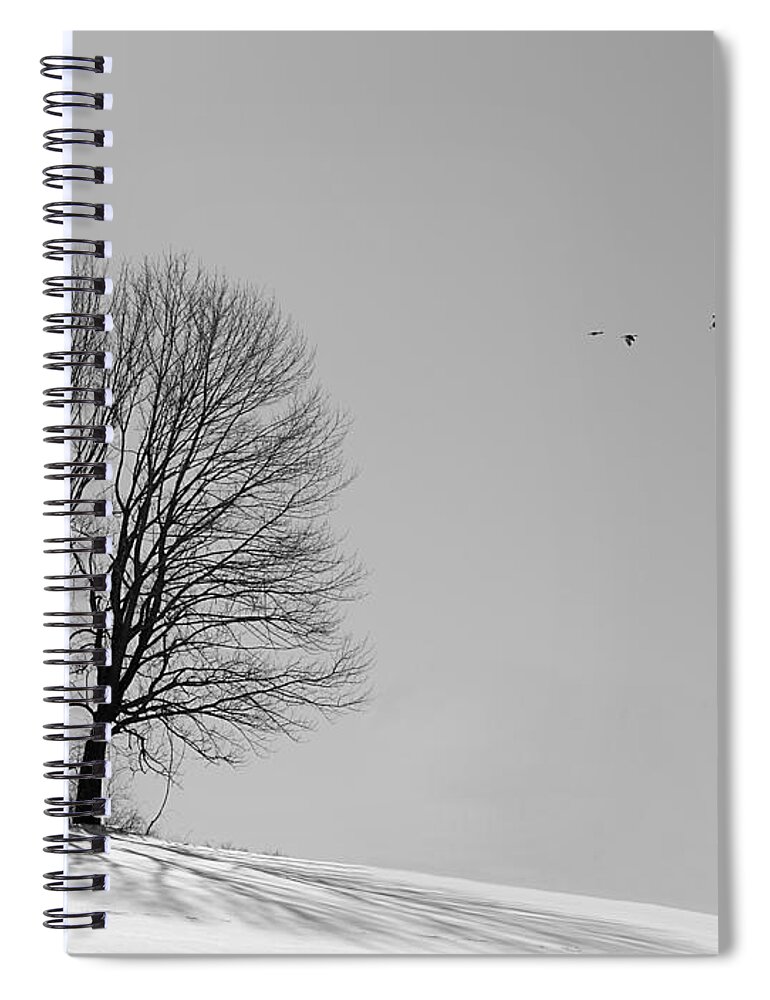 Winter Spiral Notebook featuring the photograph Winter - Fly Past in Mono by Richard Reeve