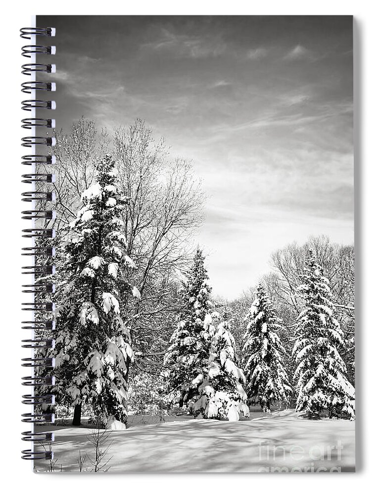 Winter Spiral Notebook featuring the photograph Winter forest in black and white by Elena Elisseeva