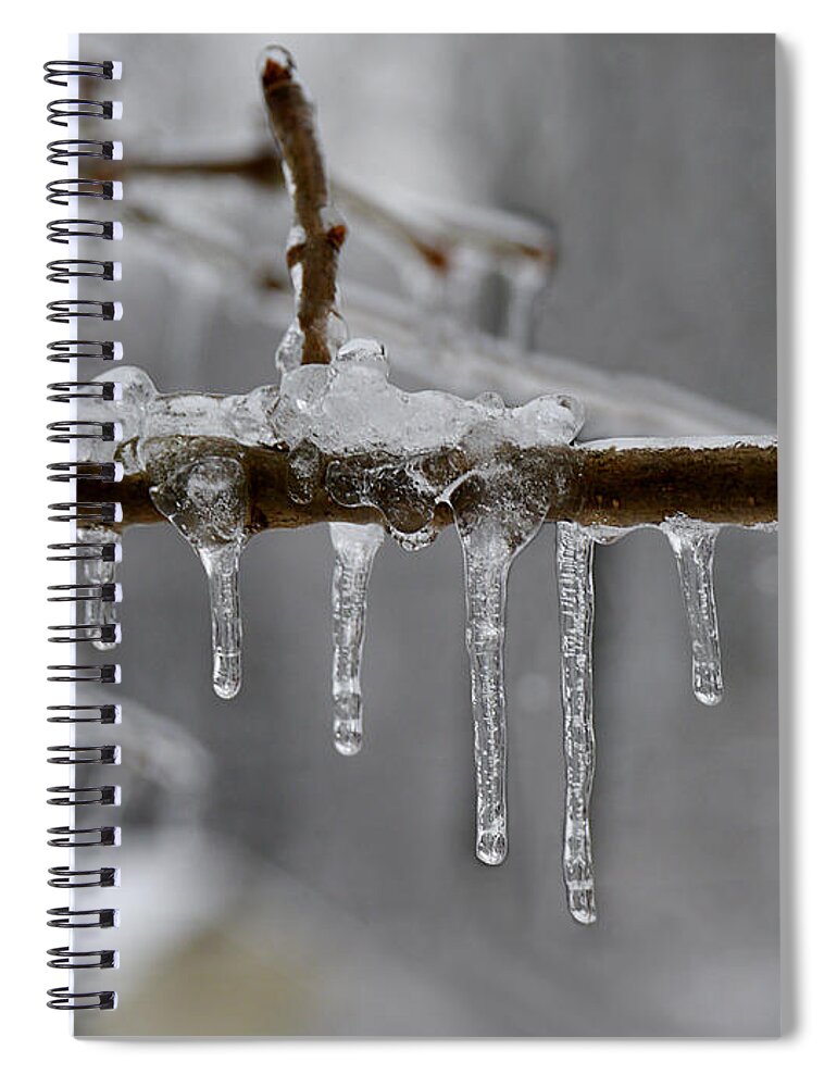 Winter Spiral Notebook featuring the photograph Winter - Ice Drops by Richard Reeve
