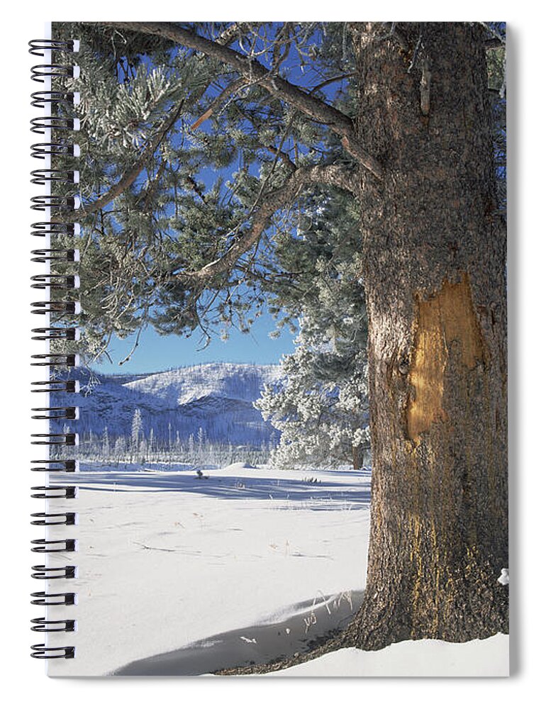 0174291 Spiral Notebook featuring the photograph Winter In Yellowstone National Park by Tim Fitzharris