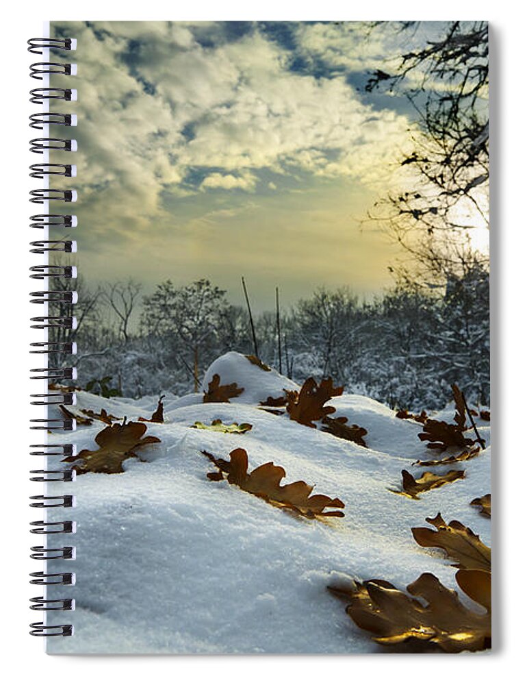 Winter Spiral Notebook featuring the photograph Winter Landscape by Jelena Jovanovic