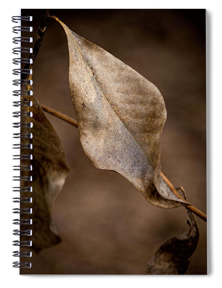Still Life Photography Spiral Notebook featuring the photograph Winter by Mary Buck
