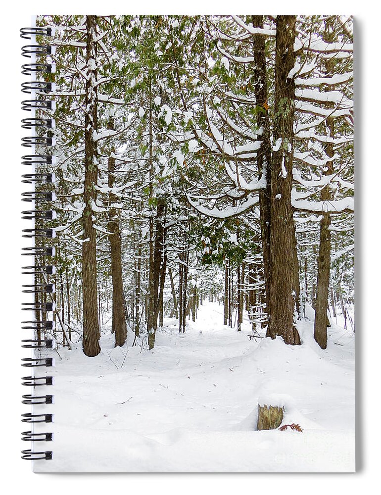 Winter Picture Spiral Notebook featuring the photograph Winter Morning by Gwen Gibson