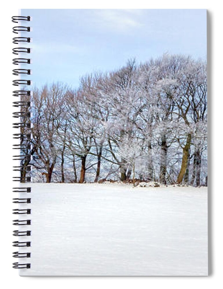 Oak Spiral Notebook featuring the photograph Winter Oak by David Birchall