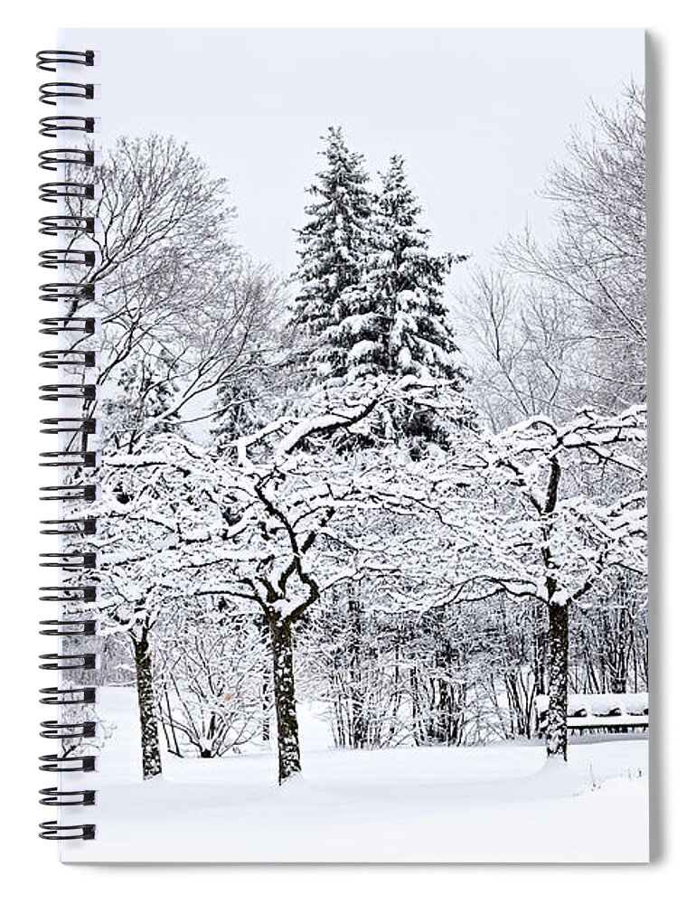 Winter Spiral Notebook featuring the photograph Winter park landscape 2 by Elena Elisseeva