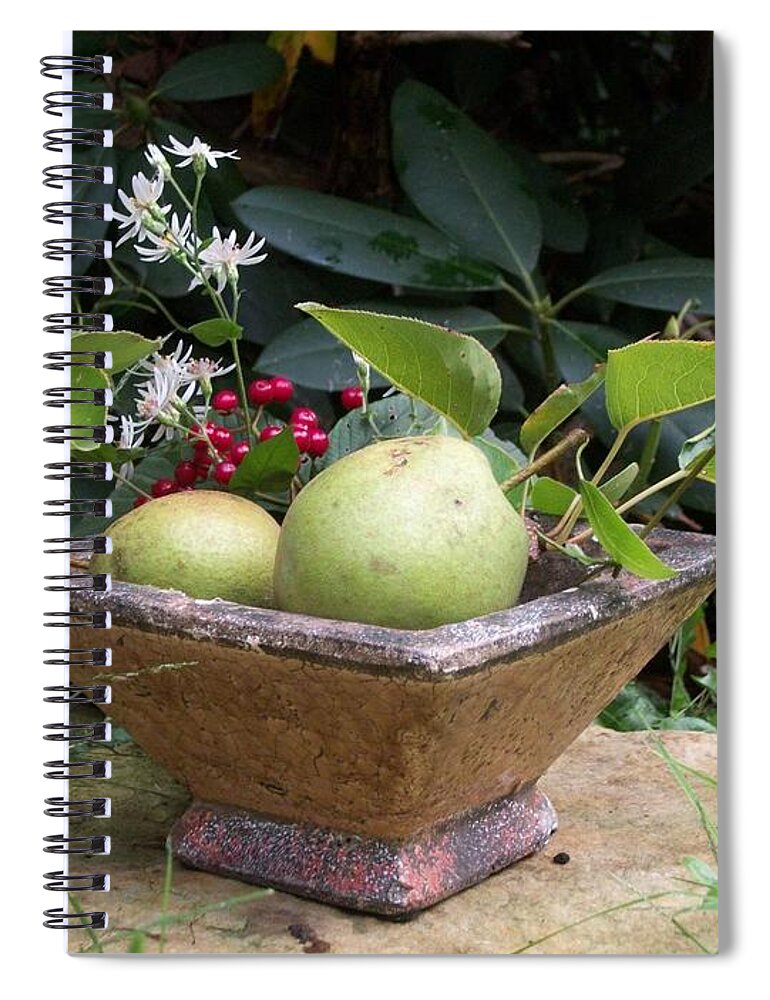 Pears Spiral Notebook featuring the photograph Winter Pears by Dani McEvoy
