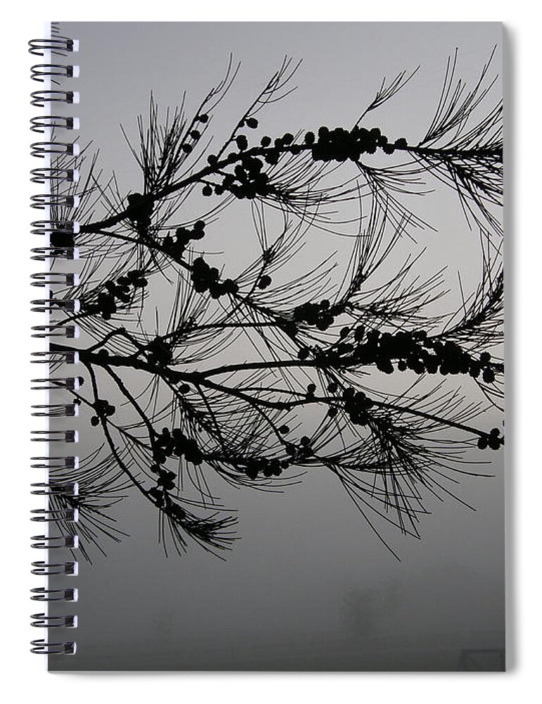 Pine Spiral Notebook featuring the photograph Winter pine branch by Bev Conover