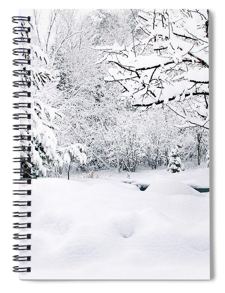 Winter Spiral Notebook featuring the photograph Winter Scene by Gwen Gibson