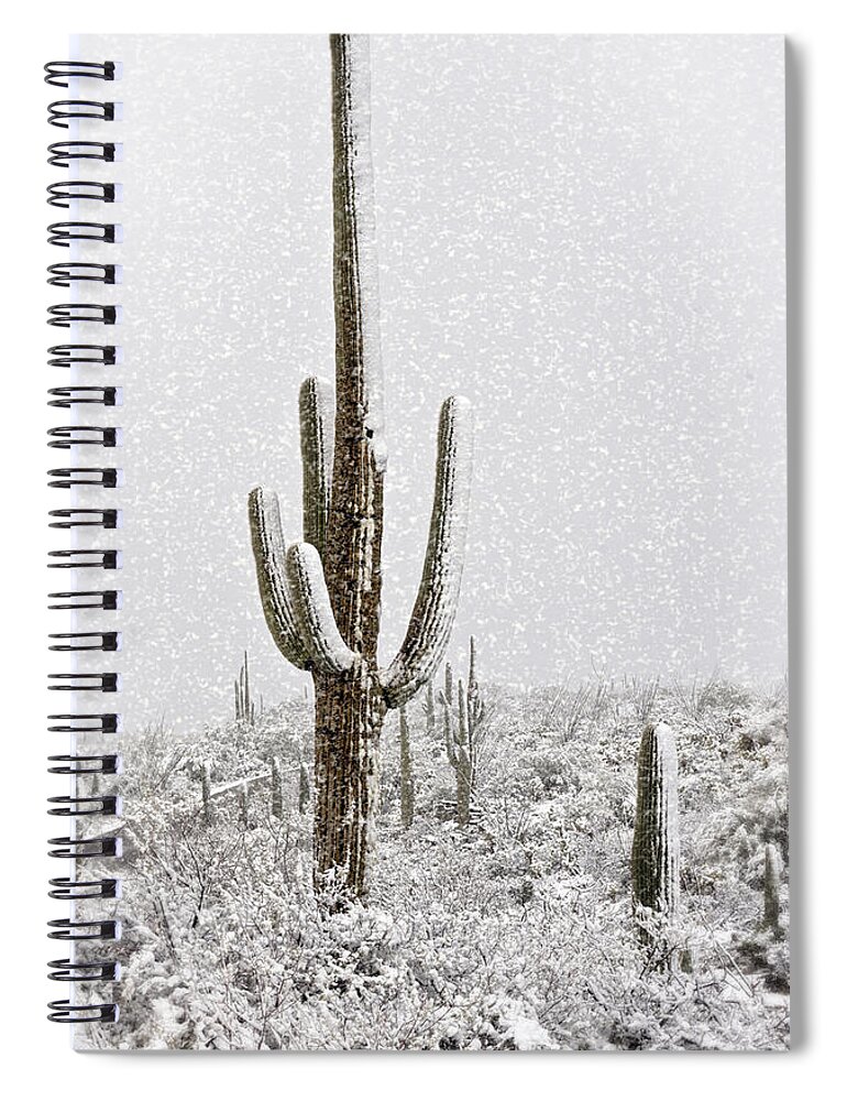 Arizona Spiral Notebook featuring the photograph Winter Sonoran Style by Saija Lehtonen