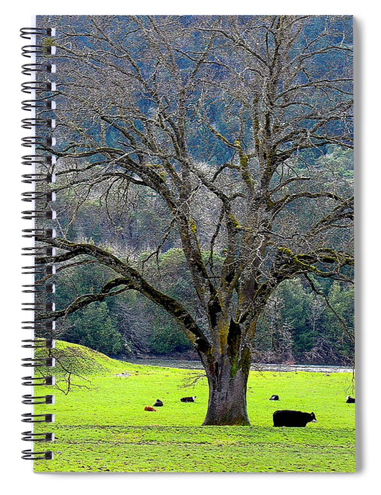Trees Spiral Notebook featuring the photograph Winter Tree with Cows by the Umpqua River by Michele Avanti