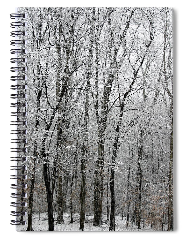 Tree Spiral Notebook featuring the photograph Winter Trees by Guy Shultz