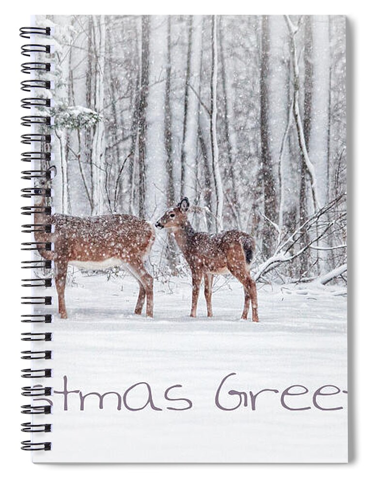 Deer Spiral Notebook featuring the photograph Winter Visits Card by Karol Livote