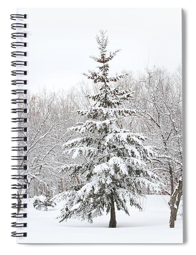 Winter Spiral Notebook featuring the photograph Winter White-out by Doris Potter
