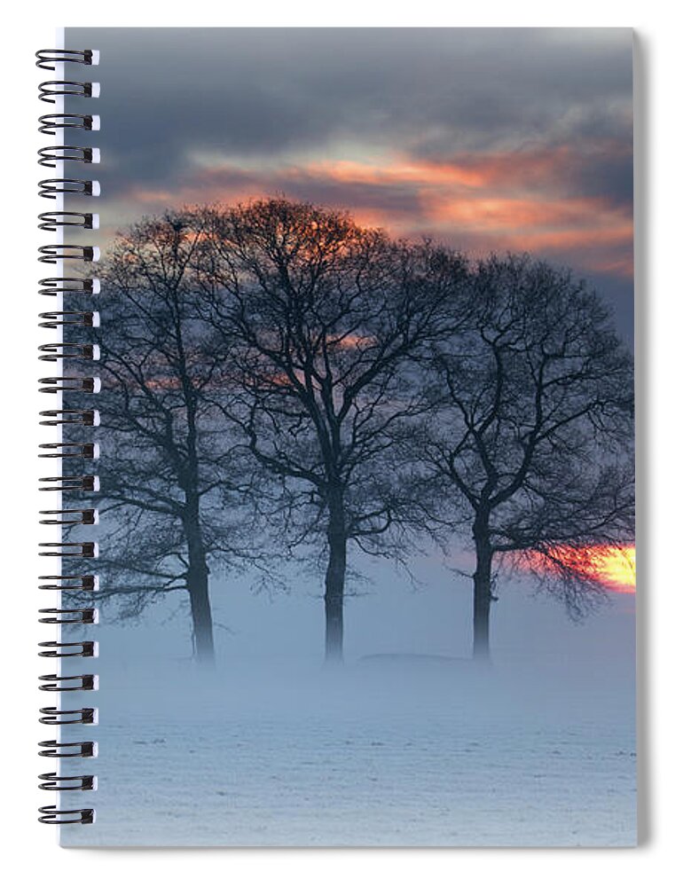 Scenics Spiral Notebook featuring the photograph Winterlandscape by Dewollewei