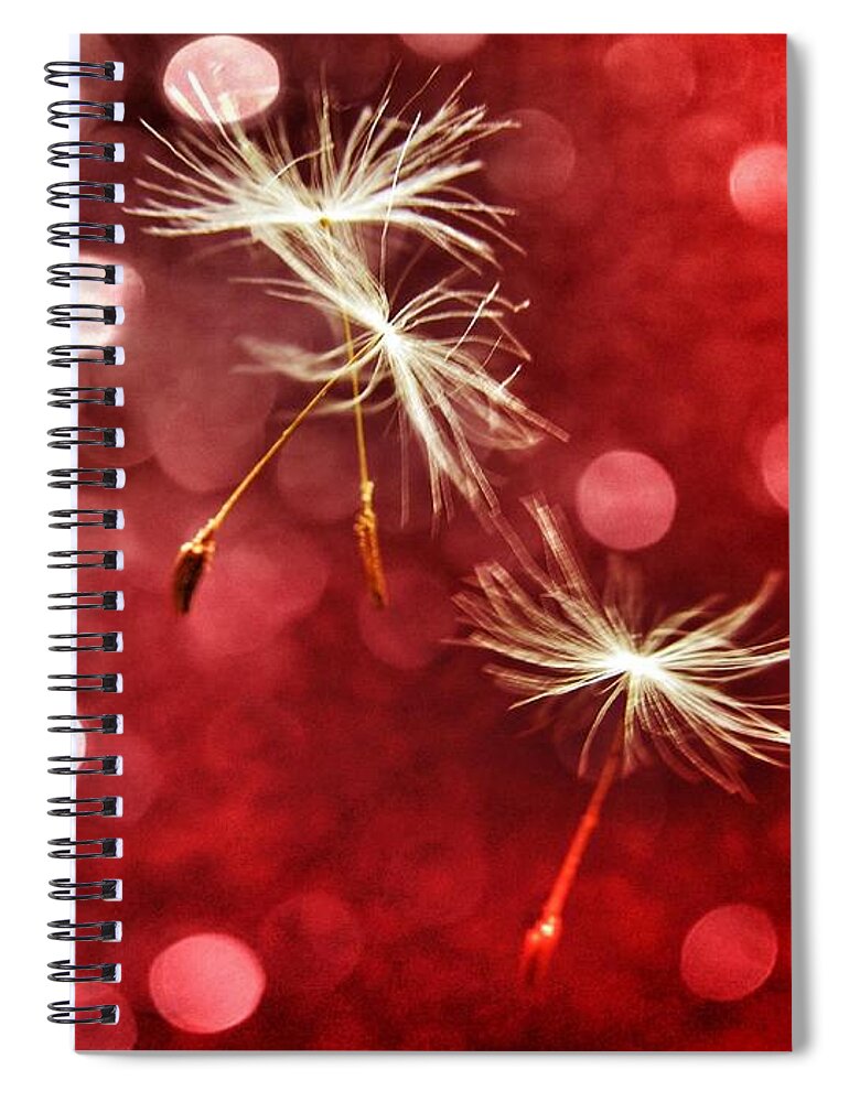 Dandelion Spiral Notebook featuring the photograph Wishing for Love by Marianna Mills