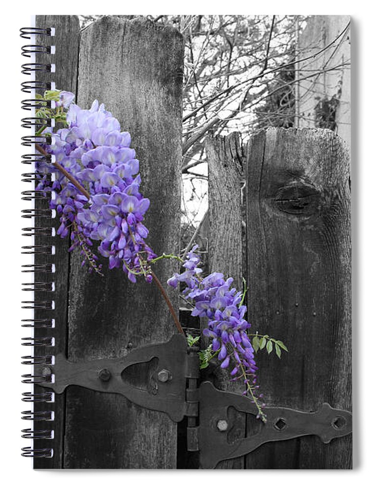 Landscape Spiral Notebook featuring the photograph Wisteria by Dylan Punke