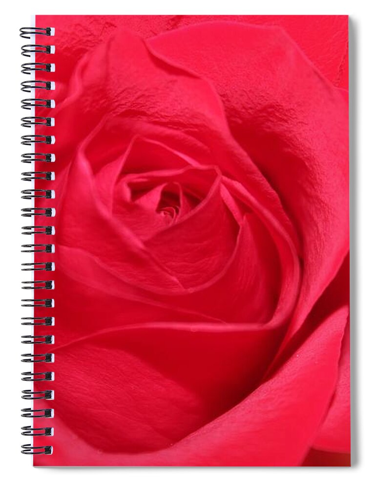 Rose Spiral Notebook featuring the photograph With Love by Judy Palkimas