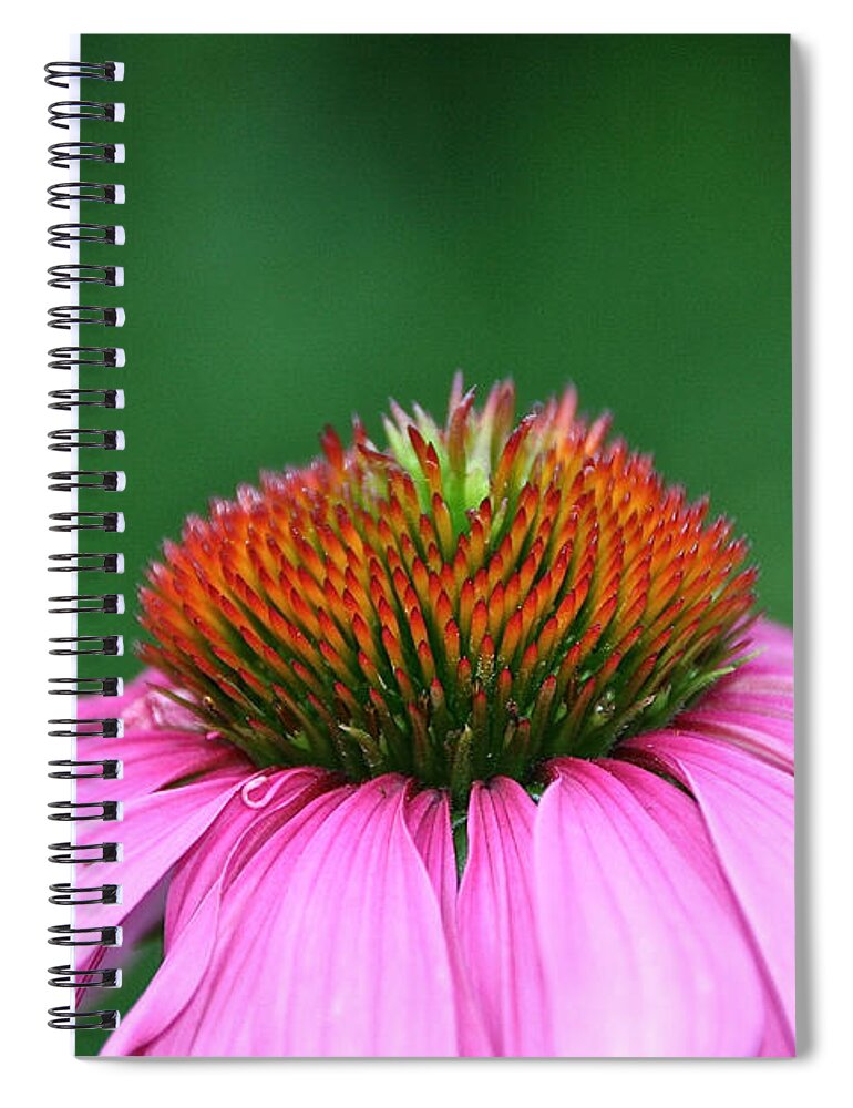 Flower Spiral Notebook featuring the photograph Within by Susan Herber